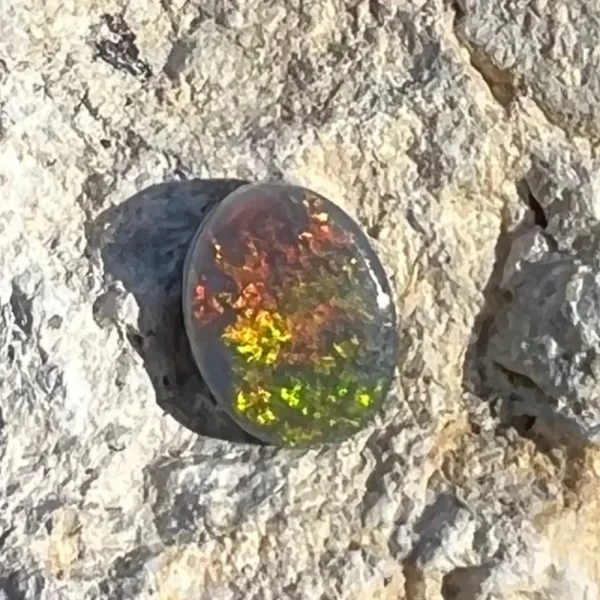 0.70ct Australian Natural Solid Black Opal Featuring Red Orange Green With Flashes Of Purple 1
