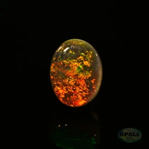 0.70ct Australian Natural Solid Black Opal Featuring Red Orange Green With Flashes Of Purple 2
