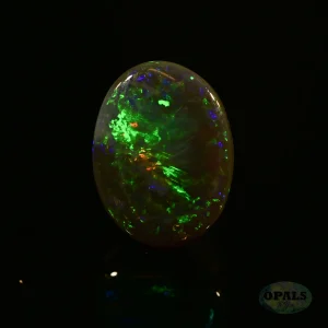 0.75ct Australian Natural Solid Black Opal Featuring Green Blue Red Orange Gold 2