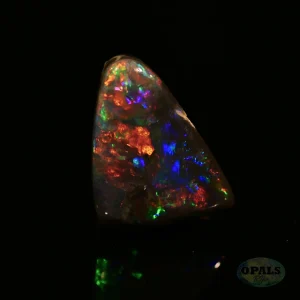 1.37 Ct Australian Natural Solid Black Opal Featuring Red Green Blue 2 1