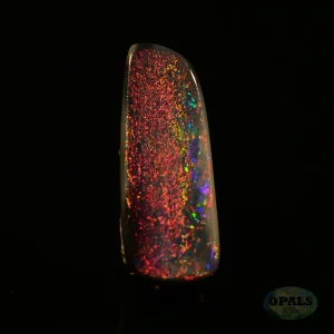 1.56 Ct Australian Natural Solid Black Opal Featuring Red Green Blue 2 1