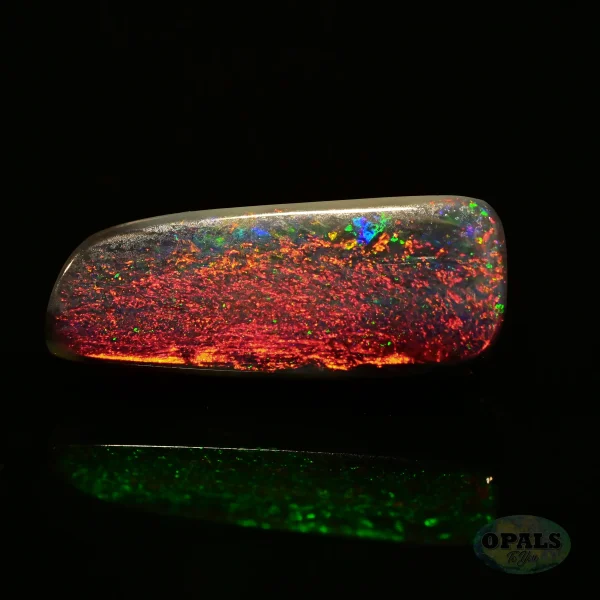 1.56 Ct Australian Natural Solid Black Opal Featuring Red Green Blue 3 1