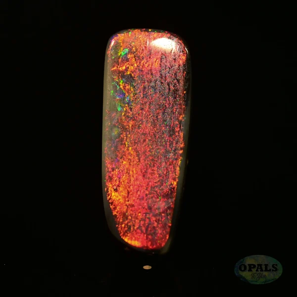 1.56 Ct Australian Natural Solid Black Opal Featuring Red Green Blue 5 1